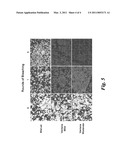 METHOD AND APPARATUS FOR ANTIGEN RETRIEVAL PROCESS diagram and image