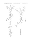 Asymmetrically branched polymer conjugates and microarray assays diagram and image