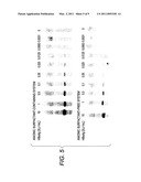 METHOD FOR DETECTING OBJECTIVE SUBSTANCE AND KIT FOR DETECTING OBJECTIVE SUBSTANCE diagram and image