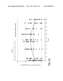 USE OF AN IMMUNOREGULATORY NK CELL POPULATION FOR MONITORING THE EFFICACY OF ANTI-IL-2R ANTIBODIES IN MULTIPLE SCLEROSIS PATIENTS diagram and image