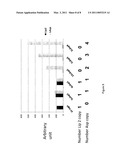 Method for the Targeted Integration of Multiple Copies of a Gene of Interest in a Yarrowia Strain diagram and image