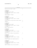 Method for the Targeted Integration of Multiple Copies of a Gene of Interest in a Yarrowia Strain diagram and image