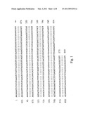 Novel promoter sequence and the application thereof diagram and image