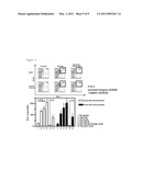 METHOD FOR PREPARATION OF PLATELET FROM iPS CELL diagram and image