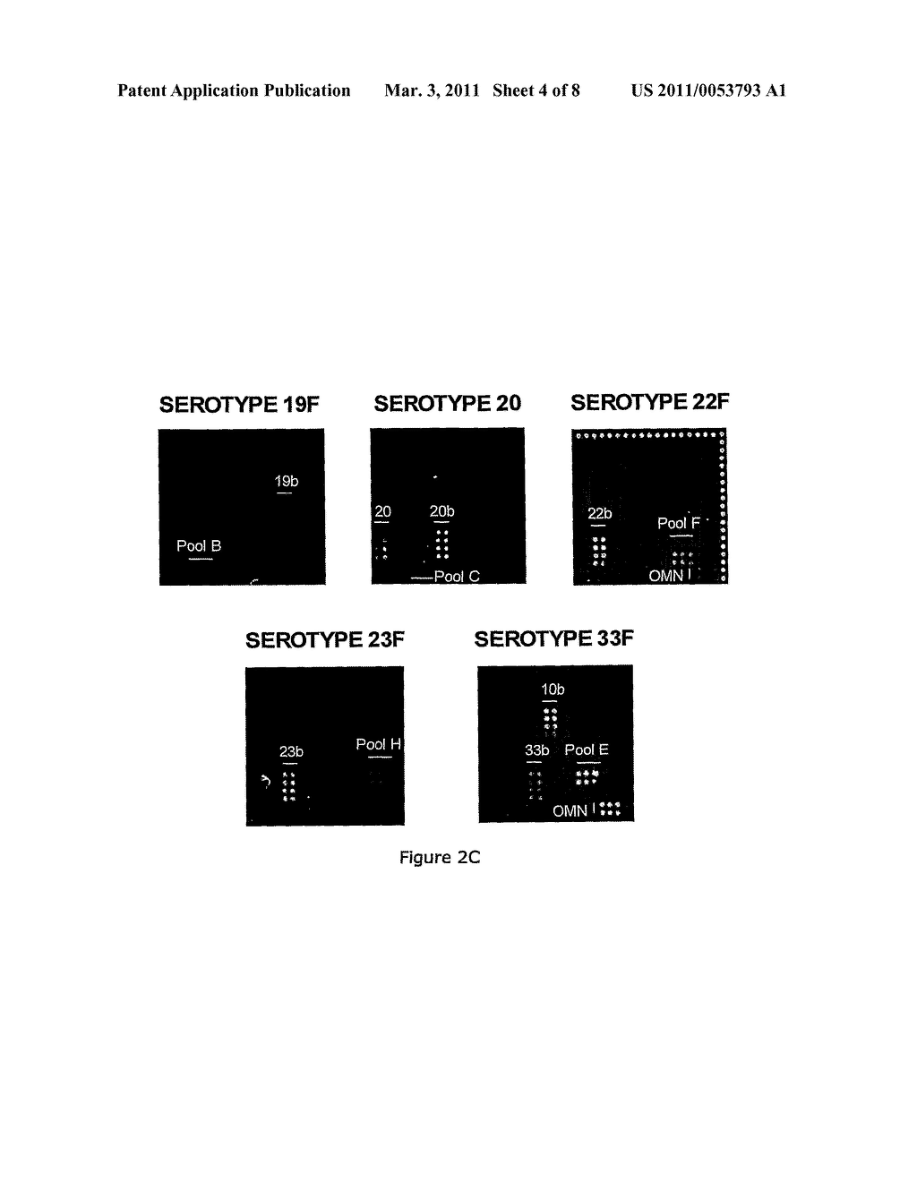 METHODS AND PRODUCTS FOR IDENTIFYING STRAINS OF BACTERIA - diagram, schematic, and image 05