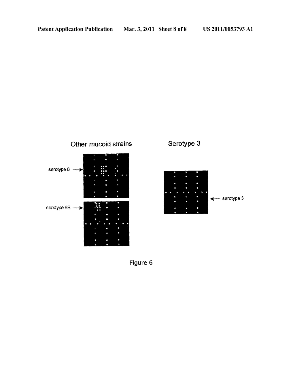 METHODS AND PRODUCTS FOR IDENTIFYING STRAINS OF BACTERIA - diagram, schematic, and image 09