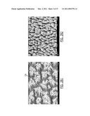 NANOSTRUCTURED SUBSTRATES FOR SURFACE ENHANCED RAMAN SPECTROSCOPY (SERS) AND DETECTION OF BIOLOGICAL AND CHEMICAL ANALYTES BY ELECTRICAL DOUBLE LAYER (EDL) CAPACITANCE diagram and image