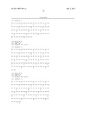 MODIFIED STEFIN A SCAFFOLD PROTEINS diagram and image