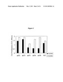 N-TERMINAL FGF VARIANTS HAVING INCREASED RECEPTOR SELECTIVITY AND USES THEREOF diagram and image