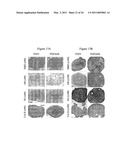 N-TERMINAL FGF VARIANTS HAVING INCREASED RECEPTOR SELECTIVITY AND USES THEREOF diagram and image