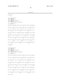 N-TERMINAL FGF VARIANTS HAVING INCREASED RECEPTOR SELECTIVITY AND USES THEREOF diagram and image