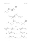 TARTRATE SALTS OF QUINAZOLINE BASED EGFR INHIBITORS CONTAINING A ZINC BINDING MOIETY diagram and image