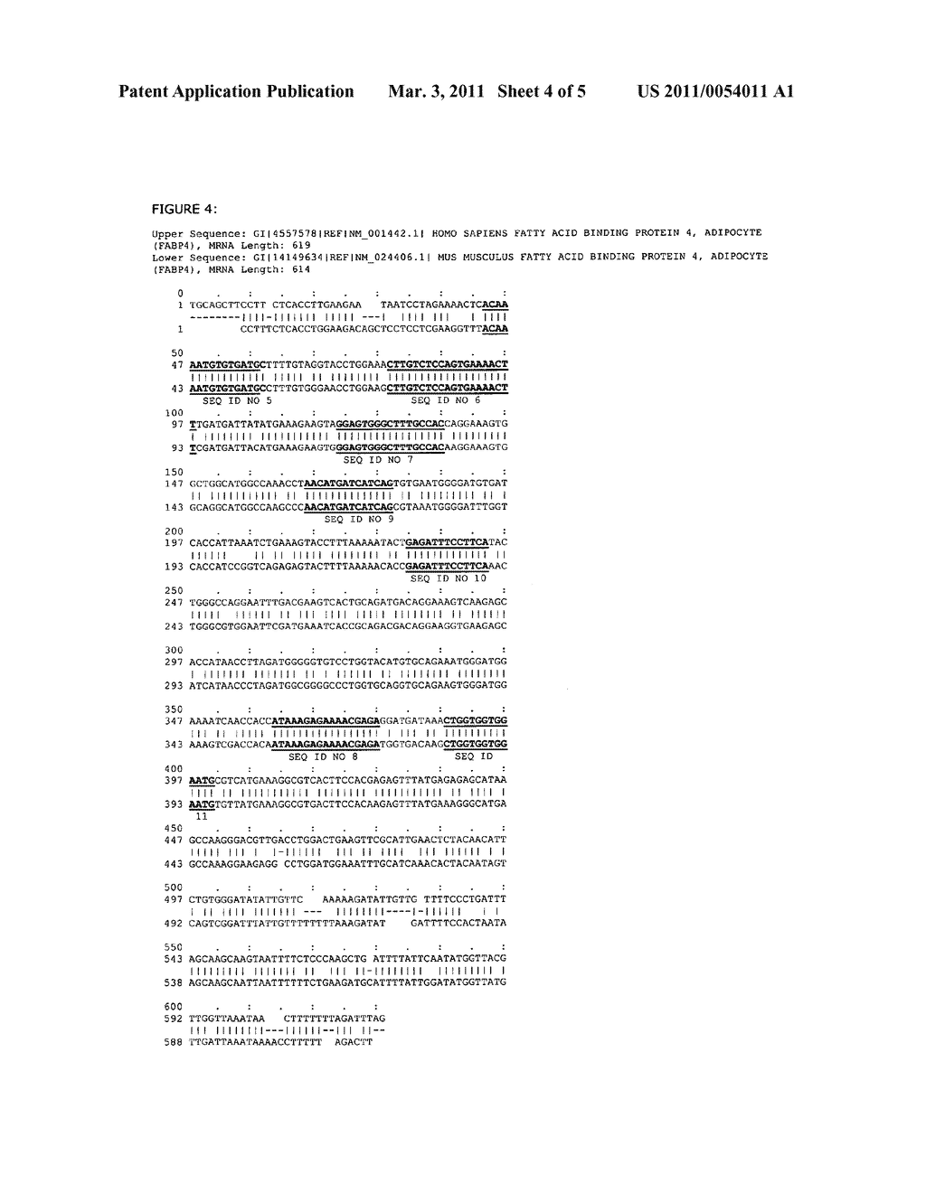 RNA Antagonist Compounds for the Modulation of FABP4/AP2 - diagram, schematic, and image 05