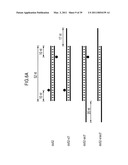 RNA INTERFERENCE MEDIATING SMALL RNA MOLECULES diagram and image