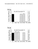 RNA INTERFERENCE MEDIATING SMALL RNA MOLECULES diagram and image