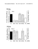 RNA INTERFERENCE MEDIATING SMALL RNA MOLECULES diagram and image