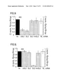 RNA INTERFERENCE MEDIATING SMALL RNA MOLECULES diagram and image