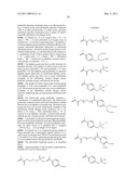 LITHOGRAPHIC PRINTING PLATE PRECURSOR AND LITHOGRAPHIC PRINTING PROCESS diagram and image