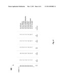 MECHANISM FOR IDENTIFYING INVALID SYLLABLES IN DEVANAGARI SCRIPT diagram and image