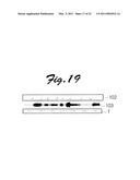 SYSTEM AND METHOD FOR AUTOMATIC TEMPORAL ADJUSTMENT BETWEEN MUSIC AUDIO SIGNAL AND LYRICS diagram and image