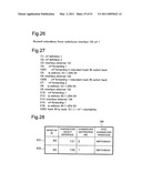 NETWORK SYSTEM AND NETWORK RELAY APPARATUS diagram and image