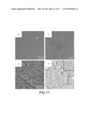 NANOPARTICLES AND METHODS OF MAKING AND USING diagram and image