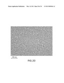 NANOPARTICLES AND METHODS OF MAKING AND USING diagram and image