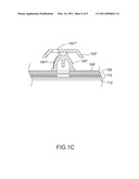 ELECTROLUMINESCENT KEYBOARD diagram and image