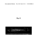 SYSTEMS AND METHODS OF BLOOD-BASED THERAPIES HAVING A MICROFLUIDIC MEMBRANELESS EXCHANGE DEVICE diagram and image