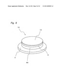 Wafer Support Member, Method for Manufacturing the Same and Electrostatic Chuck Using the Same diagram and image