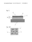 Wafer Support Member, Method for Manufacturing the Same and Electrostatic Chuck Using the Same diagram and image