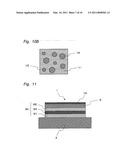 Wafer Support Member, Method for Manufacturing the Same and Electrostatic Chuck Using the Same diagram and image