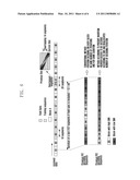 PACKET DECODING METHOD AND APPARATUS FOR DIGITAL BROADCAST SYSTEM diagram and image