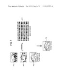 IMAGE PROCESSING APPARATUS, METHOD, AND PROGRAM diagram and image