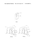 ROTARY COMPRESSOR AND METHOD diagram and image