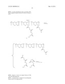 DUAL PHASE DRUG RELEASE SYSTEM diagram and image