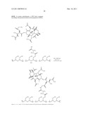 DUAL PHASE DRUG RELEASE SYSTEM diagram and image