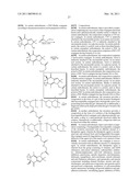 DUAL PHASE DRUG RELEASE SYSTEM diagram and image