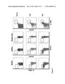 IDENTIFICATION OF CD8+ T CELLS THAT ARE CD161HI AND/OR IL18R (ALPHA) HI AND HAVE RAPID DRUG EFFLUX CAPACITY diagram and image