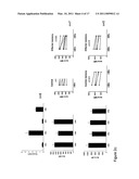 IDENTIFICATION OF CD8+ T CELLS THAT ARE CD161HI AND/OR IL18R (ALPHA) HI AND HAVE RAPID DRUG EFFLUX CAPACITY diagram and image