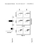 IDENTIFICATION OF CD8+ T CELLS THAT ARE CD161HI AND/OR IL18R (ALPHA) HI AND HAVE RAPID DRUG EFFLUX CAPACITY diagram and image