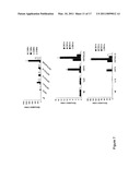 IDENTIFICATION OF CD8+ T CELLS THAT ARE CD161HI AND/OR IL18R (ALPHA) HI AND HAVE RAPID DRUG EFFLUX CAPACITY diagram and image