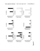 IDENTIFICATION OF CD8+ T CELLS THAT ARE CD161HI AND/OR IL18R (ALPHA) HI AND HAVE RAPID DRUG EFFLUX CAPACITY diagram and image