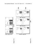 IDENTIFICATION OF CD8+ T CELLS THAT ARE CD161HI AND/OR IL18R (ALPHA) HI AND HAVE RAPID DRUG EFFLUX CAPACITY diagram and image