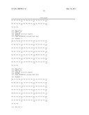 ANTI-ROBO4 ANTIBODIES AND USES THEREFOR diagram and image