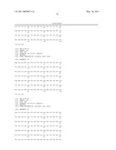 ANTI-ROBO4 ANTIBODIES AND USES THEREFOR diagram and image