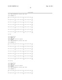 ANTI-ROBO4 ANTIBODIES AND USES THEREFOR diagram and image