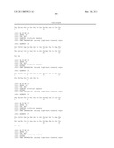 ANTI-ROBO4 ANTIBODIES AND USES THEREFOR diagram and image