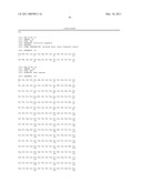 ANTI-ROBO4 ANTIBODIES AND USES THEREFOR diagram and image