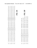 ANTI-ROBO4 ANTIBODIES AND USES THEREFOR diagram and image